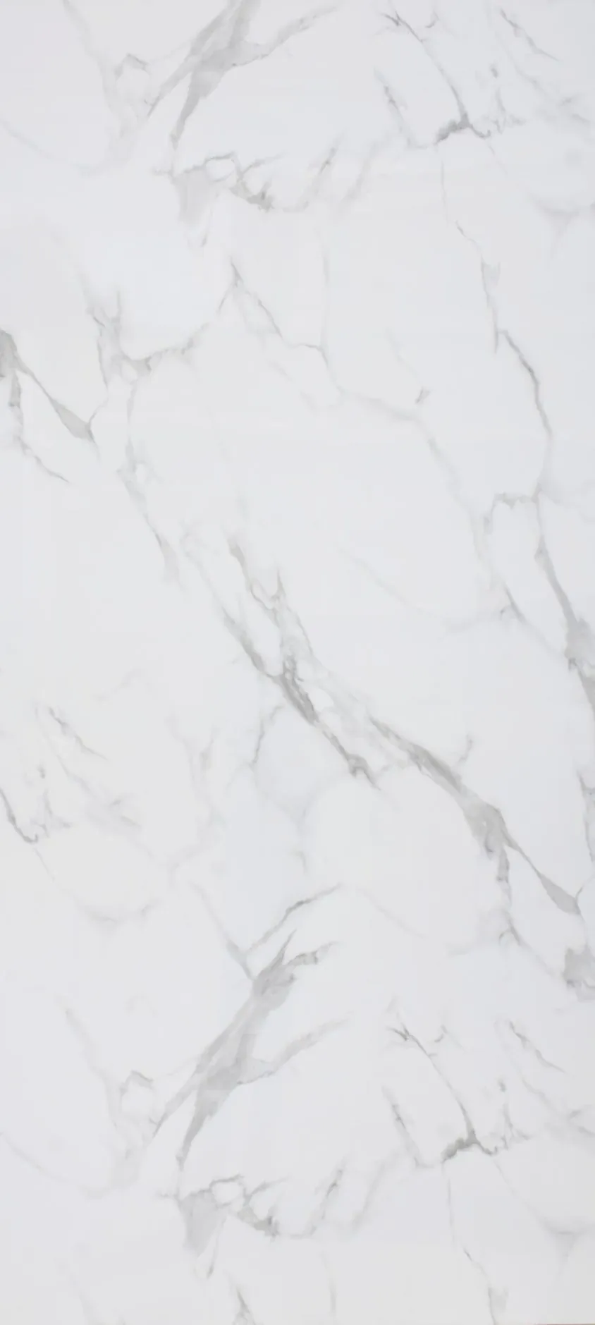 SY25 · Fondo blanco con gris, imagen del fabricante